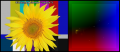 Histogram-tournesol-color.png