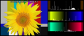 Histogram-tournesol-levels.png